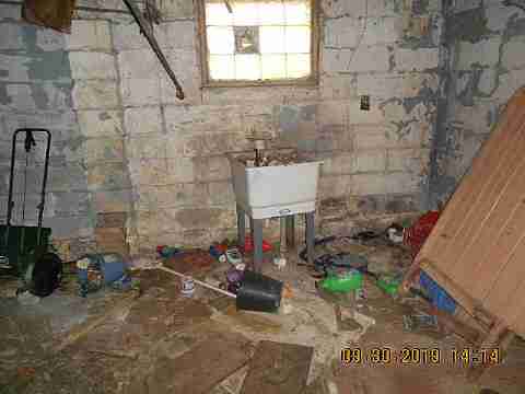 6637 Majestic (32)_m.jpg